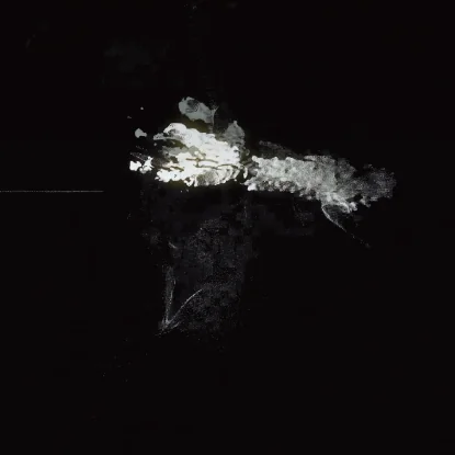 Chosun Savage — Music Video — image 5